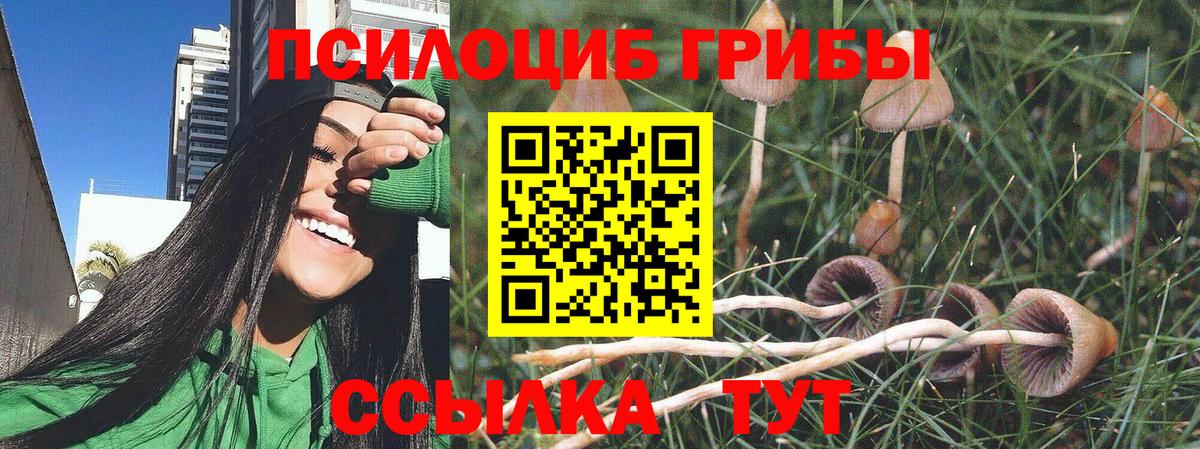 Галлюциногенные грибы MAGIC MUSHROOMS Семёнов