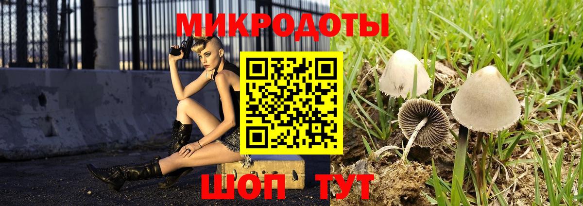 Семёнов  Галлюциногенные грибы мицелий  Вход с VPN 